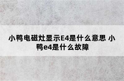 小鸭电磁灶显示E4是什么意思 小鸭e4是什么故障